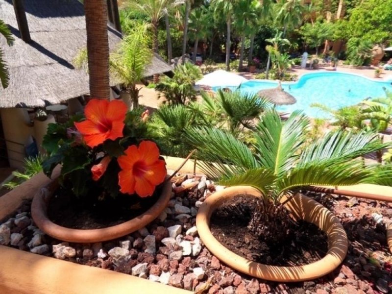 Santa Ponsa Wunderschöne Wohnung in einer gehobenen Anlage mit tollem Palmengarten ! Wohnung kaufen