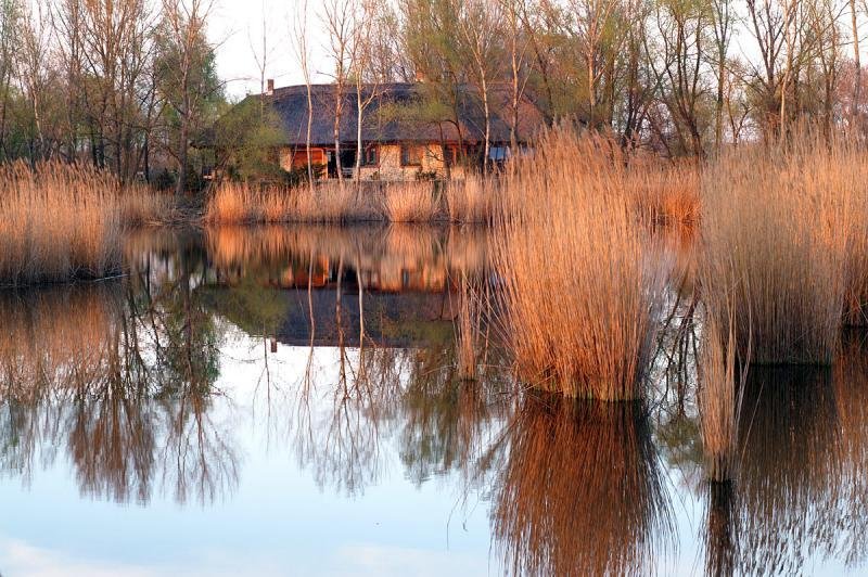 Siófo Haus direkt am See. 6,5 ha Grundstück und Villa 300 qm Haus kaufen