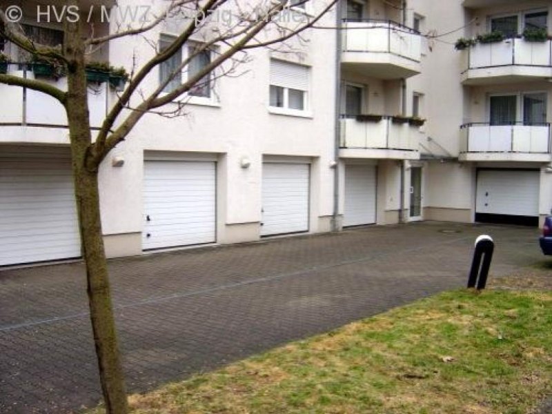 Leipzig große 1-Raumwohnung - Nähe Wildpark Wohnung mieten