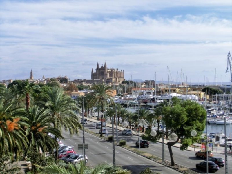 Palma de Mallorca Exklusive Wohnung direkt am Paseo Maritimo Wohnung mieten