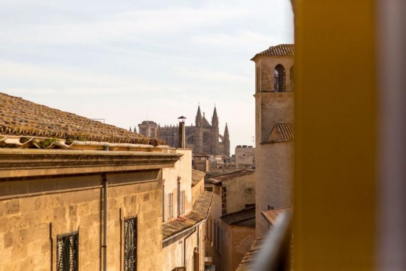 Palma de Mallorca neuwertiges Apartment mitten in der Altstadt von Palma Wohnung mieten