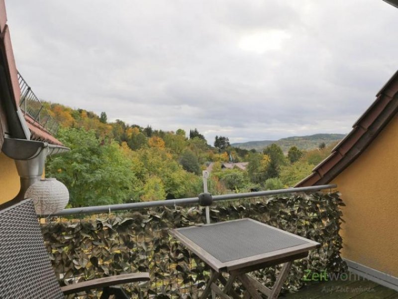 Jena (EF1086_M) Jena: Wöllnitz, kleine möblierte Haushälfte mit Balkon in ruhiger grüner Wohnlage Wohnung mieten