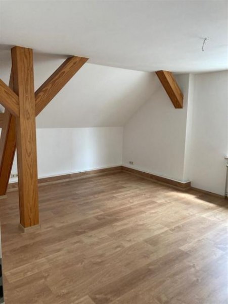 Zwickau Große 2 Zimmer Wohnung mit EBK in guter Lage Wohnung mieten