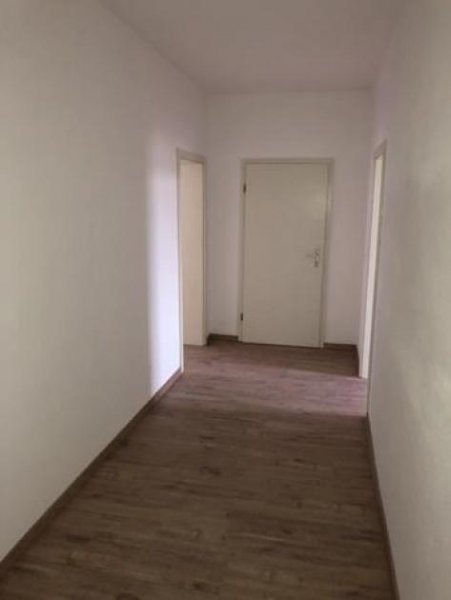 Chemnitz Gepflegte 3-Zimmer mit Laminat und Wannenbad in Uni- und Zentrumsnähe* Wohnung mieten