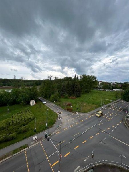 Chemnitz Große 1-Zimmer Wanne und Ausblick! EBK mgl. 2 KM frei!!! Wohnung mieten