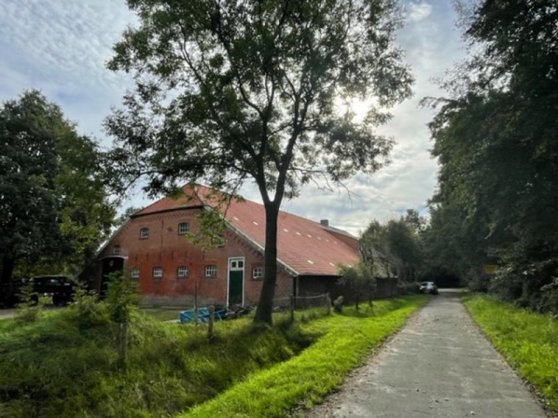 Westoverledingen * ruhige Lage * Tierhaltung erlaubt * Einbauküche * neuwertige Gasheizung * Pferdehaltung möglich * Wohnung mieten