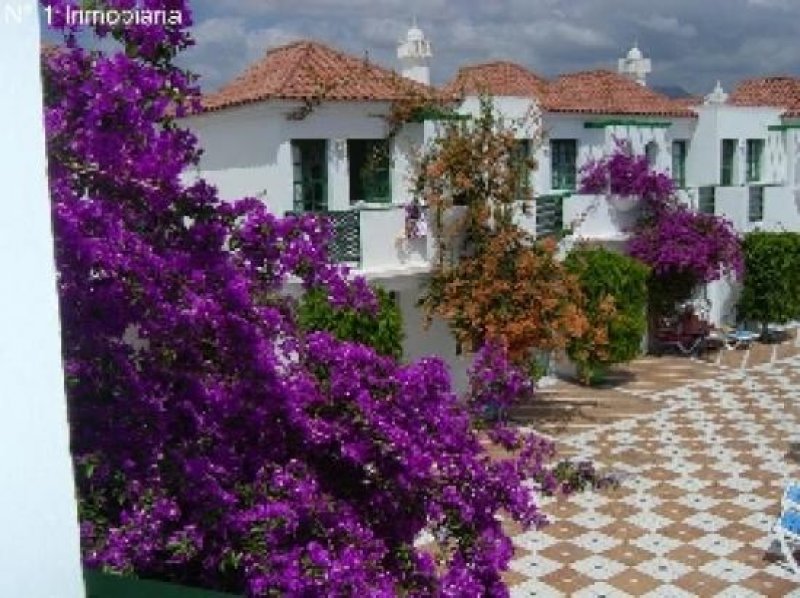 Maspalomas Duplex im Campo de Golf Wohnung mieten