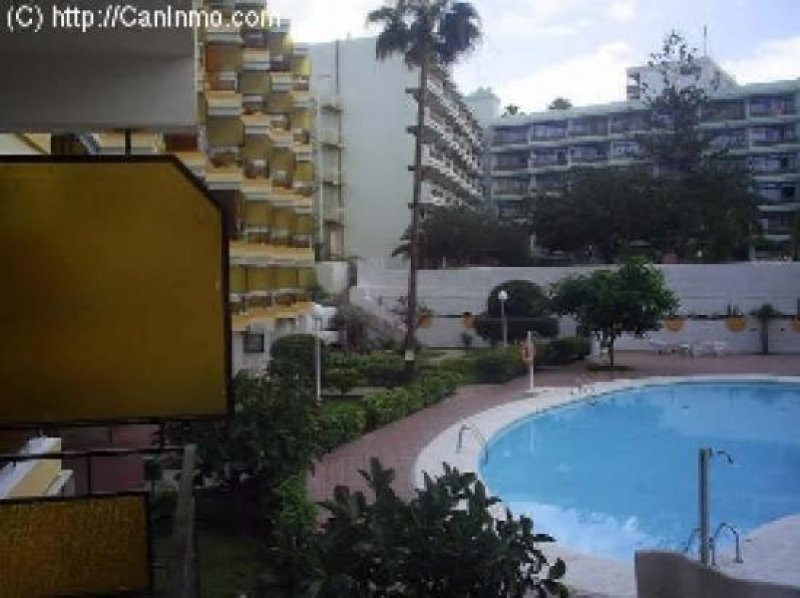 Playa del Ingles Apartamentos Europa - renoviert, zentral in Playa del Ingles Wohnung mieten