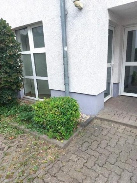 Magdeburg Freundliche schöne 2-R-Wohnung in MD- Sudenburg ca.86,98m² im EG mit Terrasse zu vermieten . Wohnung mieten