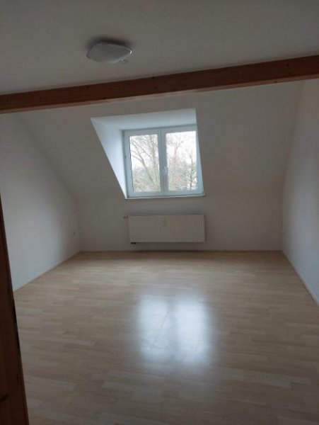 Magdeburg Wohnen an der Elbe sonnige schöne 4-R-Wohnung in MD-Werder im DG ca.132m² BLK. zu vermieten. Wohnung mieten