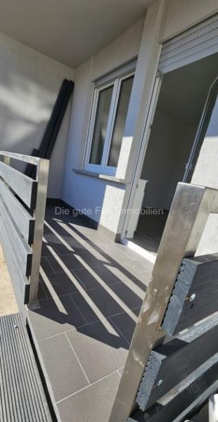 Wiltingen Schöne, helle, neu renovierte 3 ZKB - Wohnung mit Balkon Wohnung mieten