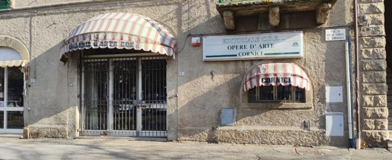 castel del piano FONDO COMMERCIALE Gewerbe mieten