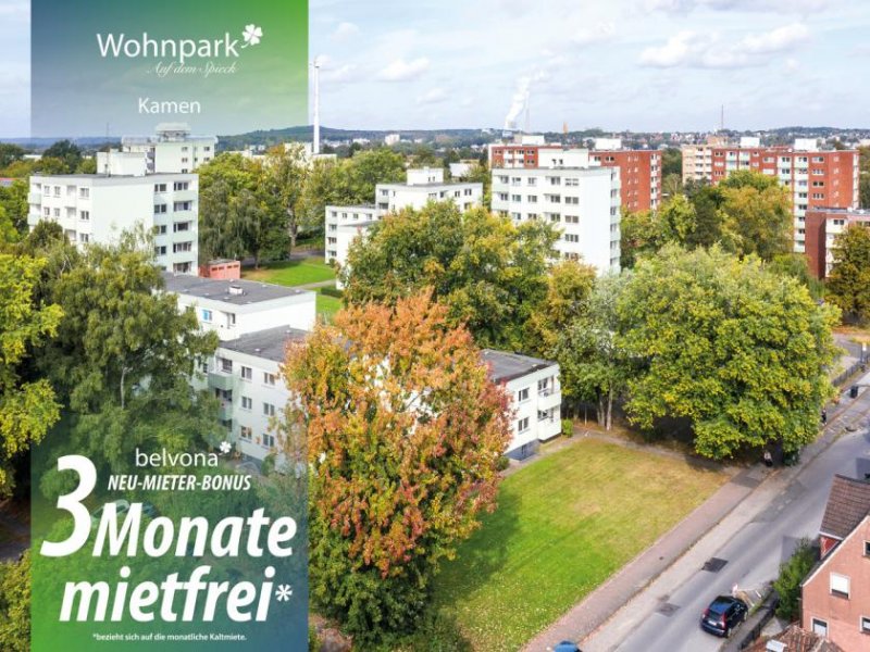 Kamen Wohnpark Auf dem Spieck: 2 Zi- Ahorn-Luxuswohnung frisch saniert.
3 Monate sind mietfrei!! Wohnung mieten