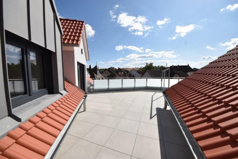 Elsenfeld HAUS PAULA! Neubauwohnung mit 34m² Dachterrasse ! Wärmepumpe - Aufzug - Tiefgarage! Wohnung mieten