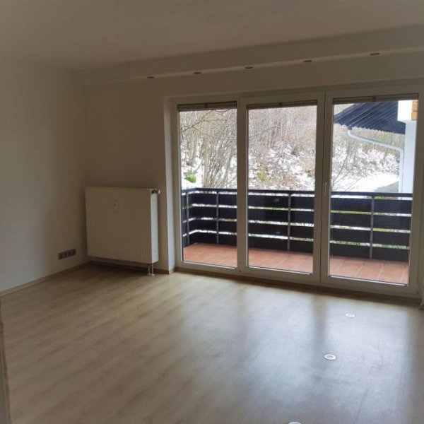 Herrischried 1 Zi.-Apartment mit EBK und großem Balkon Wohnung mieten