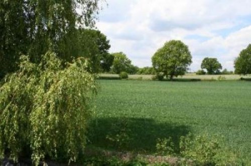 Ahrensburg Immobilienportal Hochwertig und ausgefallen - DHH, ca. 140m² - Blick über Felder Haus 