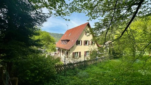 Bad Liebenzell Häuser Burgblick - castle view - großzügiges Schwarzwaldhaus in Bad Liebenzell - huge Black Forets house! Haus 