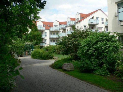 Dresden Terrassenwohnung Sonnig,hell,separate Küche, Süd-West Balkon Wohnung kaufen