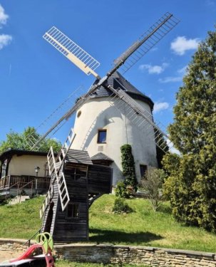 Dresden Haus Liebhaberstück: Sanierte Holländerwindmühle in Dresden mit Restaurantbetrieb Haus kaufen