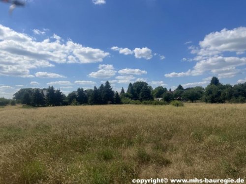 Cottbus Immobilien Für Ihre zukünftigen Bauherren - Bauerwartungsland zum Vorzugspreis! Grundstück kaufen