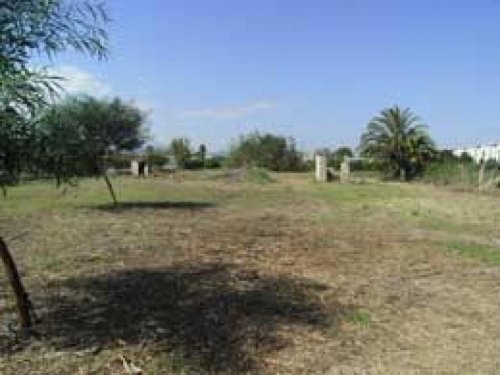 Els Poblets-Denia Wohnungen Ebenes Grundstücke in Els Poblets-Denia zu verkaufen Grundstück kaufen