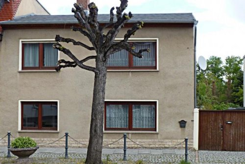 Lucka Immobilien Großzügig Wohnen mitten in Lucka! Haus kaufen