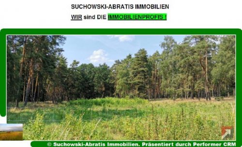 Herzberg (Elster) Immobilien Inserate *** Wald *** Grundstück kaufen