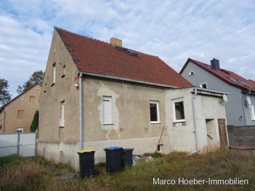 Bad Liebenwerda Haus Einfamilienhaus in der Elsteraue zw. Herzberg und Bad Liebenwerda Haus kaufen