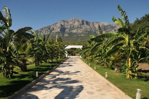 Berga/Elster Gastronomie Brandneues Vier Sterne Hotel in Kemer mit Privatstrand Gewerbe kaufen