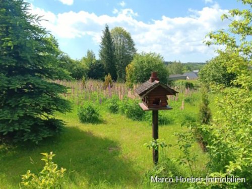 Olbernhau Grundstück Freizeit- und Erholungsgrundstück im Erzgebirge Grundstück kaufen