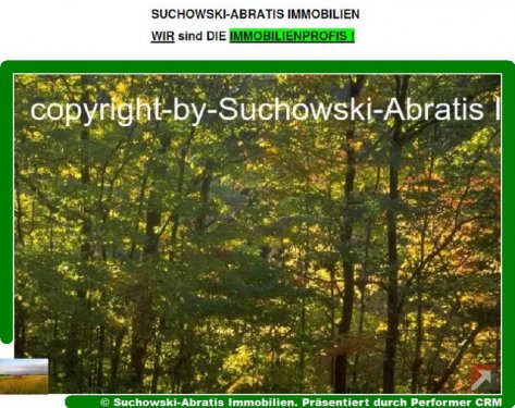 Schönefeld (Landkreis Dahme-Spreewald) Immobilienportal *** Wald arrondiert *** Grundstück kaufen