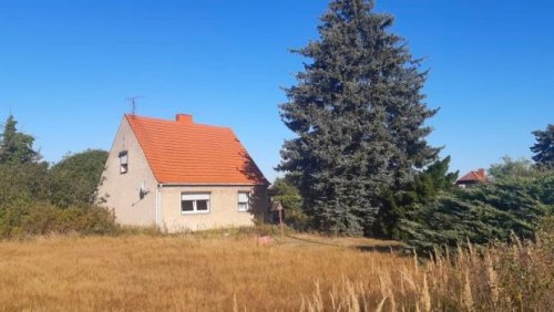 Brück Haus Haus mit Nebengelass und großem Garten Haus kaufen