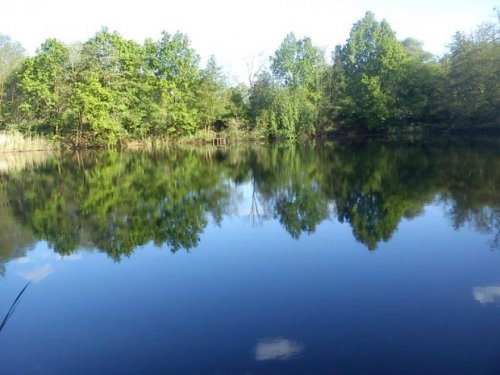 Brück Grundstück Ihr eigenes Fisch-Teichgrundstück mit 12.766 m² Grundstück kaufen