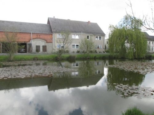 Jüterbog Immobilien Ländliches Leben auf einem tollen Hof Haus kaufen