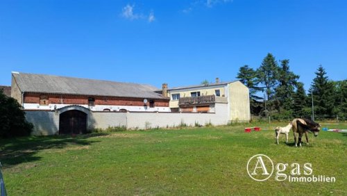 Niederer Fläming Immobilien bezugsfreier 3-Seiten-Pferde-Hof mit großer Fläche und Sonnen-Grundstück im schönen Niederer Fläming Haus kaufen