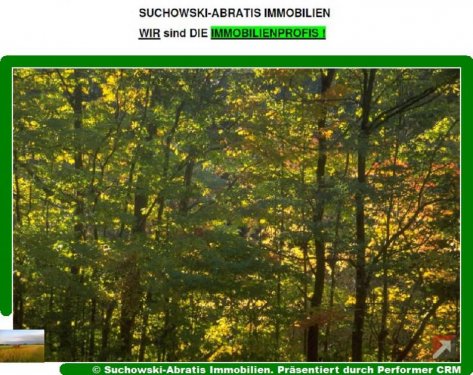 Niederer Fläming Immobilien *** Wald 12 ha arrondiert *** Grundstück kaufen