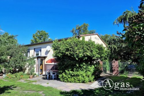 Lindendorf Günstiges Haus Idyllisches Einfamilienhaus auf großem Grundstück in ruhiger Lage mit Glasfaseranschluss Haus kaufen