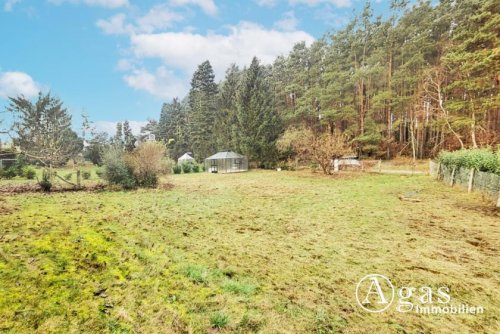 Reichenwalde Grundstück-Angebot Ihr Traum von Erholung: Waldblick-Baugrundstück, provisionsfrei, erschlossen, verkehrsberuhigt Grundstück kaufen