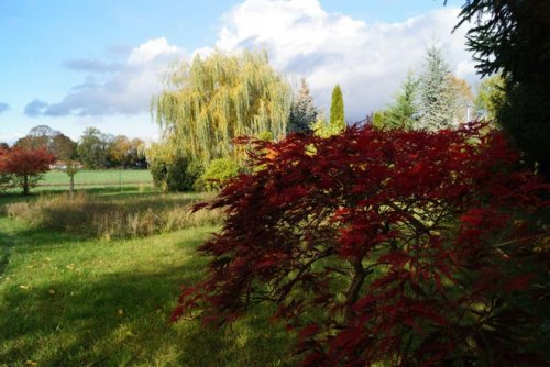 Christinendorf Immobilien Inserate Grundstück in Dabendorf mit Blick auf Feld und Naturschutzgebiet Grundstück kaufen