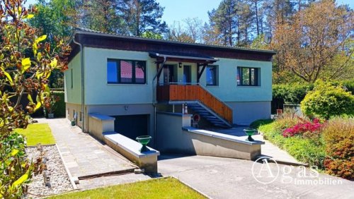 Heideblick Häuser provisionsfrei: bezugsfreies Einfamilienhaus mit Sonnen-Terrasse in ruhiger Lage von Walddrehna Haus kaufen