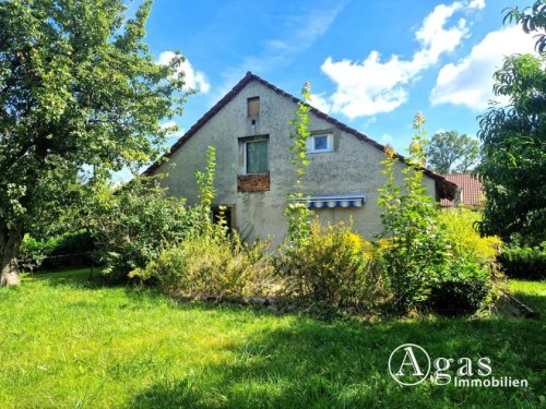 Luckau Immobilien Inserate Einfamilienhaus auf großem Grundstück mit Einliegerwohnung und Garage in Ortsrandlage von Luckau Haus kaufen