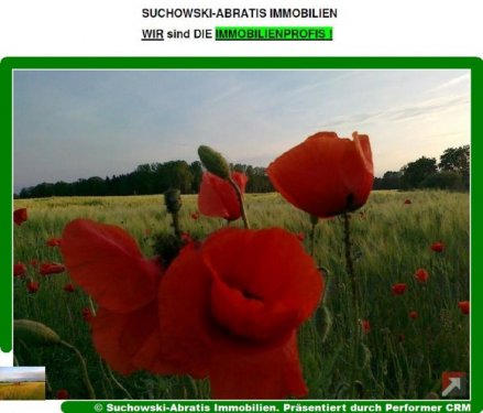 Drahnsdorf Immobilien Inserate *** Landwirtschaftsfläche - Grünland / Wiese *** Grundstück kaufen