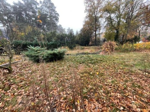 Schildow Grundstück-Angebot Baugrundstück in gefragter Lage im schönen Schildow Grundstück kaufen