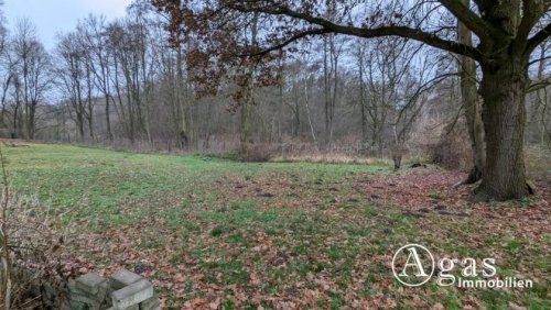 Schildow Grundstücke Natur pur - 5.700 m² großes Grundstück mit Bungalow in ruhiger Schildower Ortsrandlage Grundstück kaufen