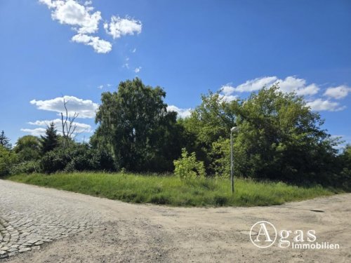 Mühlenbecker Land Grundstück bauträgerfreies derzeitig noch unerschlossenes Eckgrundstück in Mühlenbeck Grundstück kaufen