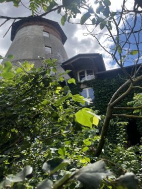 Friedland (Landkreis Mecklenburgische Seenplatte) Teure Häuser Historische Mühle mit Anbauten und Garagen im Herzen von Friedland Haus kaufen