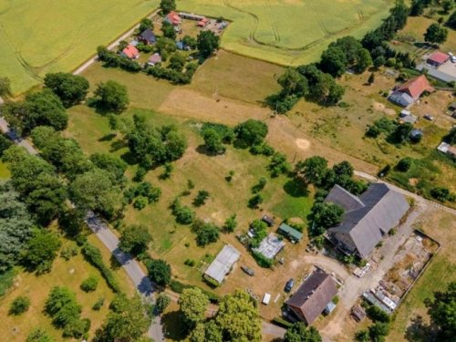 Friedland (Landkreis Mecklenburgische Seenplatte) Immobilien Traumhaftes Baugrundstück nahe Neubrandenburg Grundstück kaufen