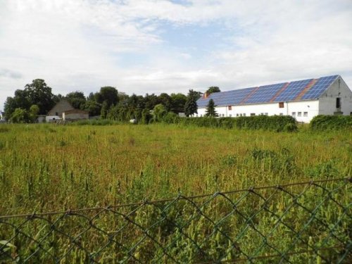 Ducherow Grundstücke ObjNr:18340 - Großzügiges Baugrundstück in ruhiger Lage des schönen Ortes Ducherow Grundstück kaufen