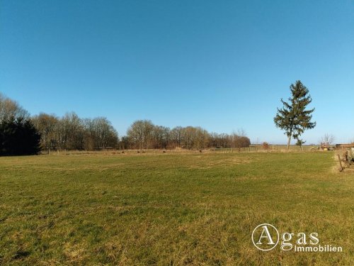 Lüssow (Landkreis Vorpommern-Greifswald) Noch zu teilendes ca. 1.250m² großes Grundstück mit ca. 4.000m² Gartenland in Ostseenähe Grundstück kaufen