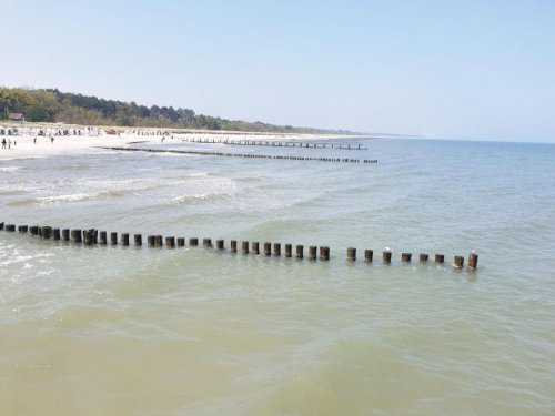 Zingst Immobilien Super! Haus möbliert (2 WE) mit Kamin und Sauna nur 250 m bist zum Bodden in Zingst! Haus kaufen